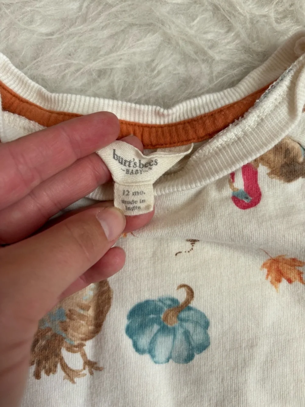 Burt's Bees Baby Gender Neutral Rust Orange Festive Thanksgiving Outfit